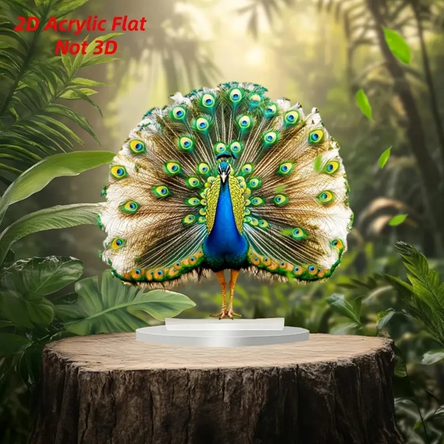 2D Flat Acrylic Peacock Spread - Office Table Home ulasan dan harga